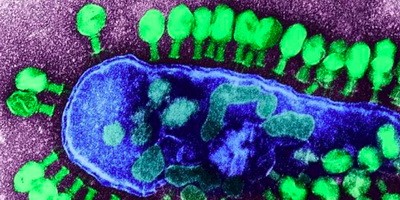 Бактеріофаги в практиці гастроентеролога